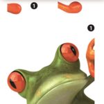 Sticker frog