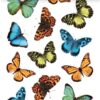 Wall sticker colourful butterflies Home Decor Line