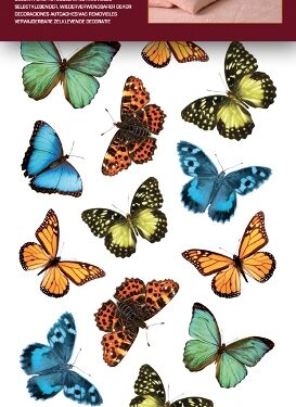 Wall sticker colourful butterflies Home Decor Line