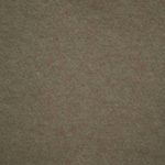 FESTIVAL_BEIGE